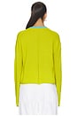 view 3 of 4 JERSEY DOMINICK in Key Lime & Light Blue