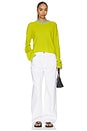 view 4 of 4 JERSEY DOMINICK in Key Lime & Light Blue