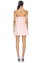view 4 of 4 Roselle Applique Bustier Mini Dress in Blush Pink