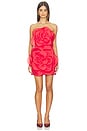 view 2 of 4 Floret Mini Dress in Scarlet