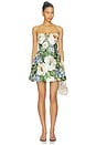 view 1 of 4 Roselle Floral Hand-embroidered Bustier Mini Dress in Blossom