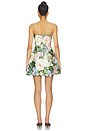 view 3 of 4 Roselle Floral Hand-embroidered Bustier Mini Dress in Blossom