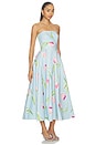 view 2 of 3 Lynn Bustier Midi Dress in Tulip Print In Blue