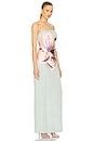 view 2 of 4 Clemence Maxi Dress in Hibiscus in Hibiscus In Pistachio