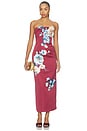 view 1 of 5 Rayna Embroidered Maxi Dress in Cosmos Print