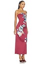 view 2 of 5 Rayna Embroidered Maxi Dress in Cosmos Print