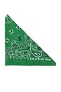 view 1 of 3 Bandana in Green