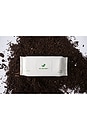 view 5 of 5 Pet Wipes 80 Count in Cactus Flower