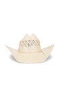 view 1 of 2 CHAPEAU DE COWBOY 10X in Tan Ivory