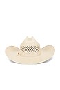 view 2 of 2 CHAPEAU DE COWBOY 10X in Tan Ivory