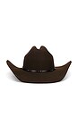 view 1 of 2 CHAPEAU DE COWBOY 3X in Brown
