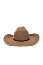 view 2 of 2 CHAPEAU DE COWBOY 3X in Fawn