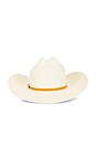 view 2 of 2 CHAPEAU DE COWBOY 15X in Buttercup