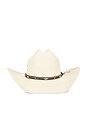 view 1 of 2 CHAPEAU DE COWBOY 10X in Brown