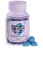 view 2 of 3 Creatine Body Toning Gummies in Blue Raspberry