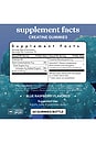 view 4 of 3 Creatine Body Toning Gummies in Blue Raspberry