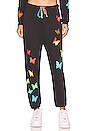 view 1 of 5 Ruth Rainbow Butterflies Sweatpant in Onyx
