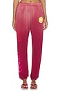 view 1 of 6 PANTALON SWEAT CHANTRIA in Maroon Ombre