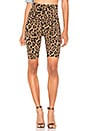 view 1 of 4 SHORT CYCLISTE in Leopard