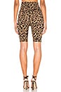 view 3 of 4 SHORT CYCLISTE in Leopard