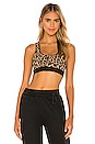view 1 of 4 Iona Bra Top in Classic Leopard