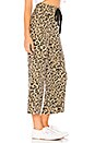 view 2 of 4 Leopard Kismet Pant in Leopard