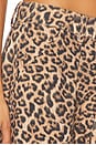 view 6 of 6 Cross Creek Leopard Pant in Leopard