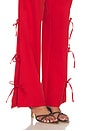 view 6 of 6 Delia Tie Side Pant in Red Chambray
