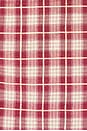 view 5 of 5 Dru Ruffle Front Blouse in Mulberry Plaid