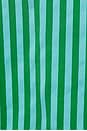 view 4 of 4 Washable Silk Tulip Back Set in Halcyon Stripe