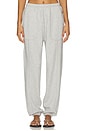 view 1 of 6 Silksweats Midweight Reversible Seamed Jogger in Napping Dove Heather