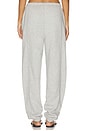 view 5 of 6 Silksweats Midweight Reversible Seamed Jogger in Napping Dove Heather