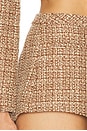view 6 of 6 Daphne Tweed Hot Short in Brown Multi