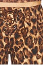 view 6 of 6 БРЮКИ ZAHARA in Leopard