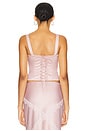 view 3 of 5 Roselie Embroidered Bustier in Blush
