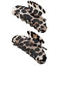 view 1 of 4 Loeffler Yuri Scallop Acetate Clip Set in Brushed Leopard