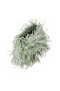 view 4 of 5 Zahara Feather Clutch in Sage Feathers