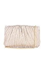 view 1 of 5 Brit Flat Pleated Pouch in Champagne