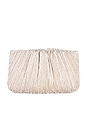 view 2 of 5 Brit Flat Pleated Pouch in Champagne