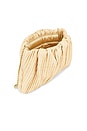 view 4 of 4 Brit Flat Pleated Pouch in Natural