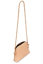 view 4 of 4 Mallory Woven Crossbody Bag in Desert Sand