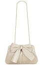view 1 of 4 POCHETTE RAYNE in Platinum Metallic