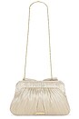 view 2 of 4 POCHETTE RAYNE in Platinum Metallic