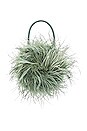 view 1 of 4 Zadie Feather Circle Tote in Sage