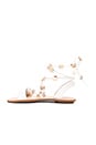 view 5 of 5 Starla Sandal in White & Gold
