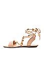 view 5 of 5 Starla Sandal in Wheat & Gold