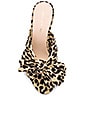 view 4 of 5 Penny Knot Mule in Leopard
