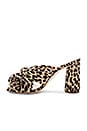 view 5 of 5 Penny Knot Mule in Leopard