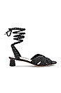 view 1 of 5 Ankle Wrap Low Sandal in Black & Cream