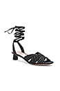 view 2 of 5 Ankle Wrap Low Sandal in Black & Cream